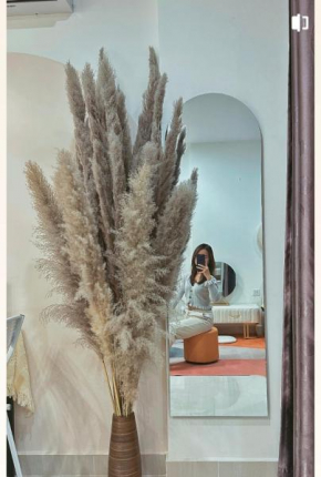 Homstay Vinhomes Ocean Park